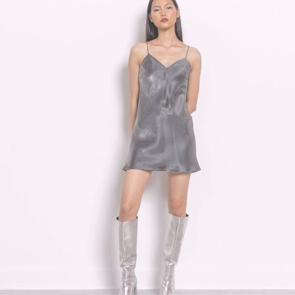 Aritzia Wilfred Only Slip Mini Dress Metallic Silver
Lined• Large •Adjustable - Picture 6 of 16